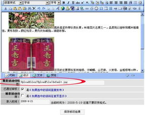 網站建設的專業選擇 從國外空間租用到圖片顯示問題的全面解析