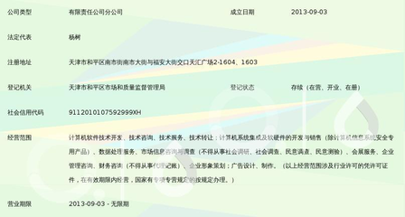 友眾信業(yè)金融信息服務(wù)（上海）有限公司天津和平區(qū)分公司信息技術(shù)咨詢服務(wù)解析